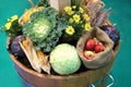 Group of various vegetables and fruits as an autumn background Royalty Free Stock Photo