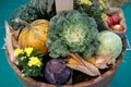 Group of various vegetables and fruits as an autumn background Royalty Free Stock Photo