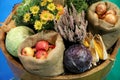Group of various vegetables and fruits as an autumn background Royalty Free Stock Photo