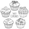 Sweet cupcakes sketch Royalty Free Stock Photo