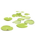 Group vector water lilies floating on surface. Green lowpoly waterlily.