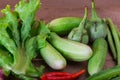 Group of vegetable cucumbers,thai eggplants,long beens,Winged be Royalty Free Stock Photo