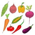 Group of vegetables cllipart vector illustration Royalty Free Stock Photo