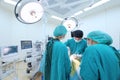 Group of veterinarian surgery in operation room