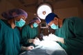 Group of veterinarian surgery in operation room