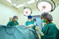 Group of veterinarian surgery in operation room