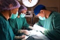 Group of veterinarian surgery in operation room