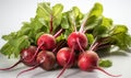 Group of Red Radishes With Green Leaves