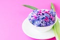 Group of violet and magenta petals of hyacinth flower in a white bowl.