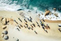 Group of volunteers cleaning garbages on the beach, birds eyes view, generative AI