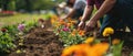 A Group Of Volunteers Planting Flowers In The Shape Of A Cancer Awareness Ribbon In A Community Gard