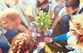 Group of volunteers planting tree in park