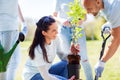 Group of volunteers planting tree in park Royalty Free Stock Photo