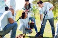 Group of volunteers planting tree in park