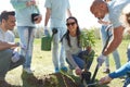 Group of volunteers planting tree in park Royalty Free Stock Photo