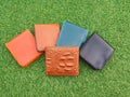 Group Wallets on grass Royalty Free Stock Photo
