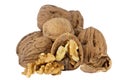 Group of Walnuts isolated on white Royalty Free Stock Photo