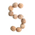 The group of walnuts on white background, making letter S. Studio shot Royalty Free Stock Photo