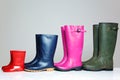 Group of wellie boots Royalty Free Stock Photo
