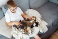 Group of Welsh corgi puppies is lying on lap of teenage boy in white T-shirt, glasses, he is sitting at home on couch.. Royalty Free Stock Photo