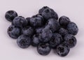 Blackberries with little drops of water on it on white background