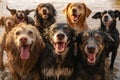 A group of wet and happy dogs with wagging tails after being washed, exuding joy and contentment. Generative AI
