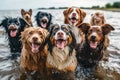 A group of wet and happy dogs with wagging tails after being washed, exuding joy and contentment. Generative AI