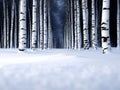 A group of white birch trees in a snowy forest at night Royalty Free Stock Photo