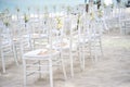 A group of white chiavari chairs on the beach wedding preparation, cones of roses petals - back side view