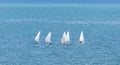 Group of white dinghy optimist sailboat sailing in the open sea with sunny blue turquoise color for summer activities and vacation Royalty Free Stock Photo