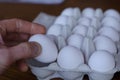 Egg picked by hand Royalty Free Stock Photo