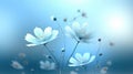 A group of white flowers on a blue background, simple abstract monochromatic spring wallpaper background.