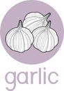 Group of white garlic bulbs with title