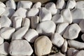 Group of white gray stones Royalty Free Stock Photo