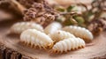 Group of white grubs crawling on a rough wooden surface Royalty Free Stock Photo