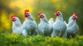 The group of white hens.AI generated image Royalty Free Stock Photo