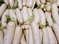 A Group of white radish in the market or the supermarket
