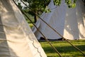 Group of Tipis Standing Among the Trees