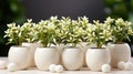 A group of white vases with small plants in them. Generative AI image. Royalty Free Stock Photo