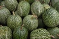 Group of whole fresh Cucurbita ficifolia, Boule de Siam pumpkin, full frame close up