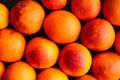 Group of Blood Oranges Viewed from Overhead