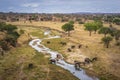 Group of wild African elephants crossing the river Royalty Free Stock Photo