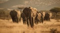 A group of wild African elephants marching through a dry savanna landscape created with Generative AI Royalty Free Stock Photo
