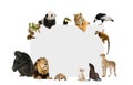 Group of wild animals around a blank poster Royalty Free Stock Photo