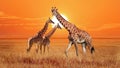 Group of wild giraffes in the African savannah. Wildlife of Africa. Serengeti National Park. Tanzania. Royalty Free Stock Photo