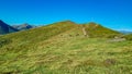 Goldeck - Group of wild horses grazing on alpine meadow on Goldeck, Latschur group, Gailtal Alps, Carinthia, Austria