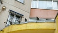 Group of wild pigeons are sitting on the metal protrusion roof.