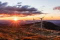 A group of wind power plants early in the morning while sunrise