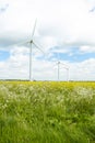 Group Of Wind Turbines In Field Of Oil Seed Royalty Free Stock Photo