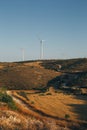 Group of windmills for renewable electric energy production